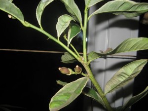 IMG_2025.jpg