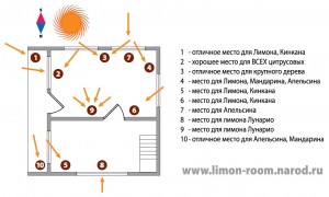 ris-L.jpg