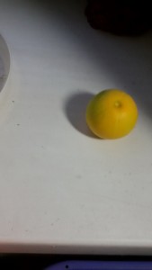 20151106_064709.jpg