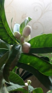 20151119_171017.jpg