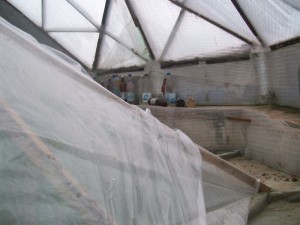 100_2901.JPG