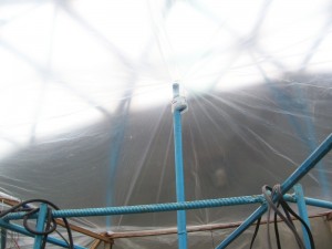 100_2902.JPG