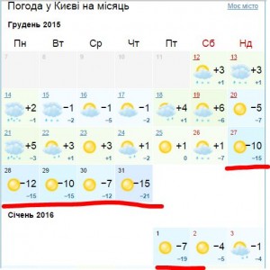 11.JPG