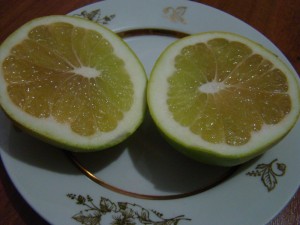 DSC00658.jpg
