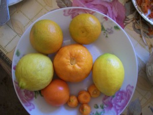 100_2928.JPG