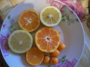 100_2929.JPG