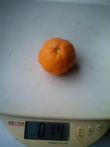 IMG_20151218_104047.jpg