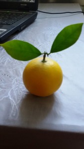 20160103_104642.jpg