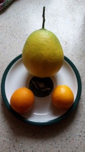 20151221_101708.jpg