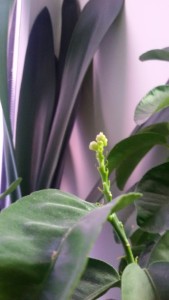 20160125_163022.jpg