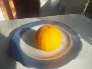 DSCF0055.jpg