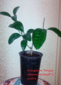 g6NrtNrAPM0.jpg (19.68 КБ) 12104 просмотра g6NrtNrAPM0.jpg