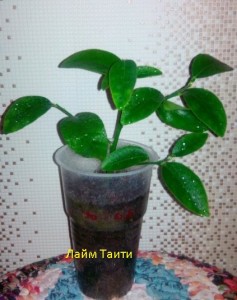 kMiE70HcJsU.jpg (23.88 КБ) 12094 просмотра kMiE70HcJsU.jpg