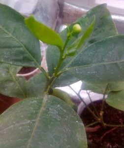 4VDFfSPIyBE.jpg (19.75 КБ) 12084 просмотра 4VDFfSPIyBE.jpg