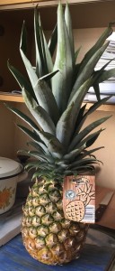 Pineapple01.JPG (129.88 КБ) 6031 просмотр Pineapple01.JPG