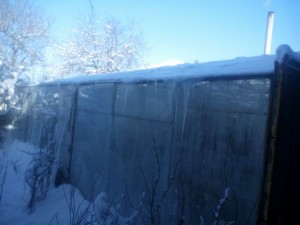 IMG_20150108_111805.jpg