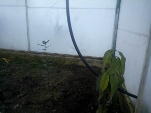 IMG_20150108_111858.jpg