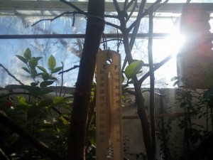 IMG_20150108_112213.jpg