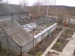 100_3090.JPG