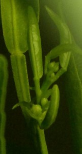 2016-03-04-382_2.jpg