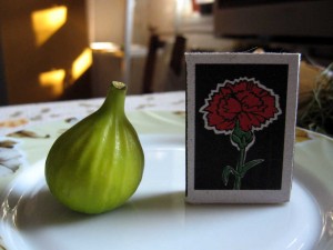 IMG_2586.JPG