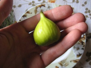 IMG_2591.JPG