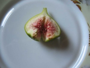 IMG_2595.JPG