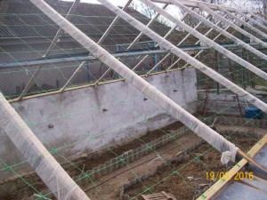 100_3155.JPG