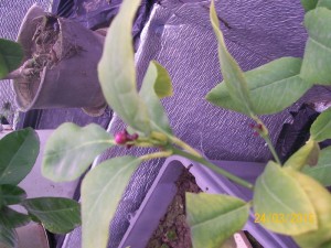 100_3166.JPG