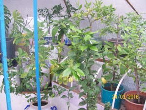 100_3186.JPG