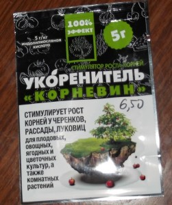 DSCF9319.jpg