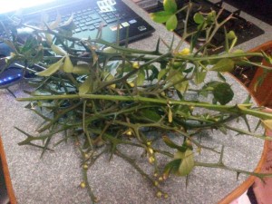20160406_214046.jpg