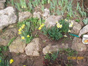 100_3261.JPG