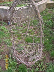 100_3265.JPG