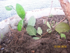 100_3293.JPG