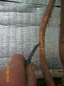 100_3300.JPG