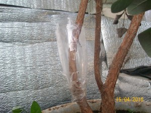 100_3301.JPG