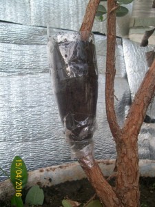 100_3302.JPG