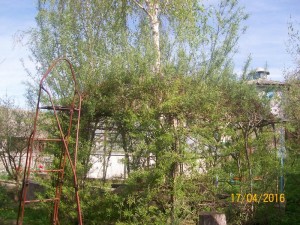 100_3344.JPG