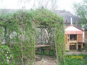 100_3352.JPG