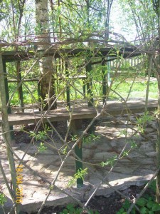 100_3359.JPG