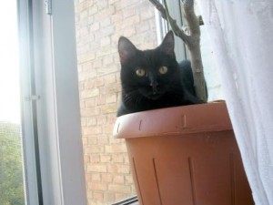 IMG_9789.jpg (15.58 КБ) 25872 просмотра IMG_9789.jpg