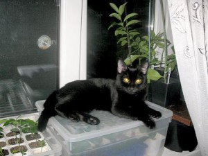 IMG_1569.jpg (21.15 КБ) 25872 просмотра IMG_1569.jpg