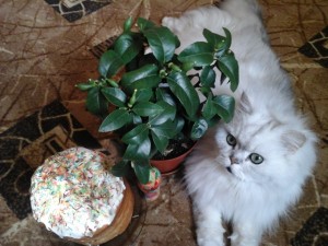 20160506_091439.jpg