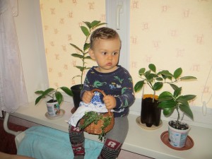 IMG_7045.JPG