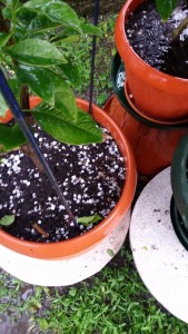 20160510_144504.jpg