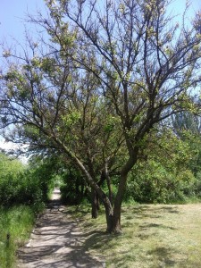 20160514_135139.jpg