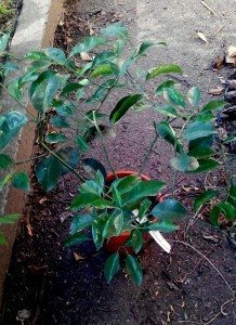 image (1)1.jpg