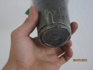 IMG_4471.jpg