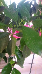 20160712_093055.jpg